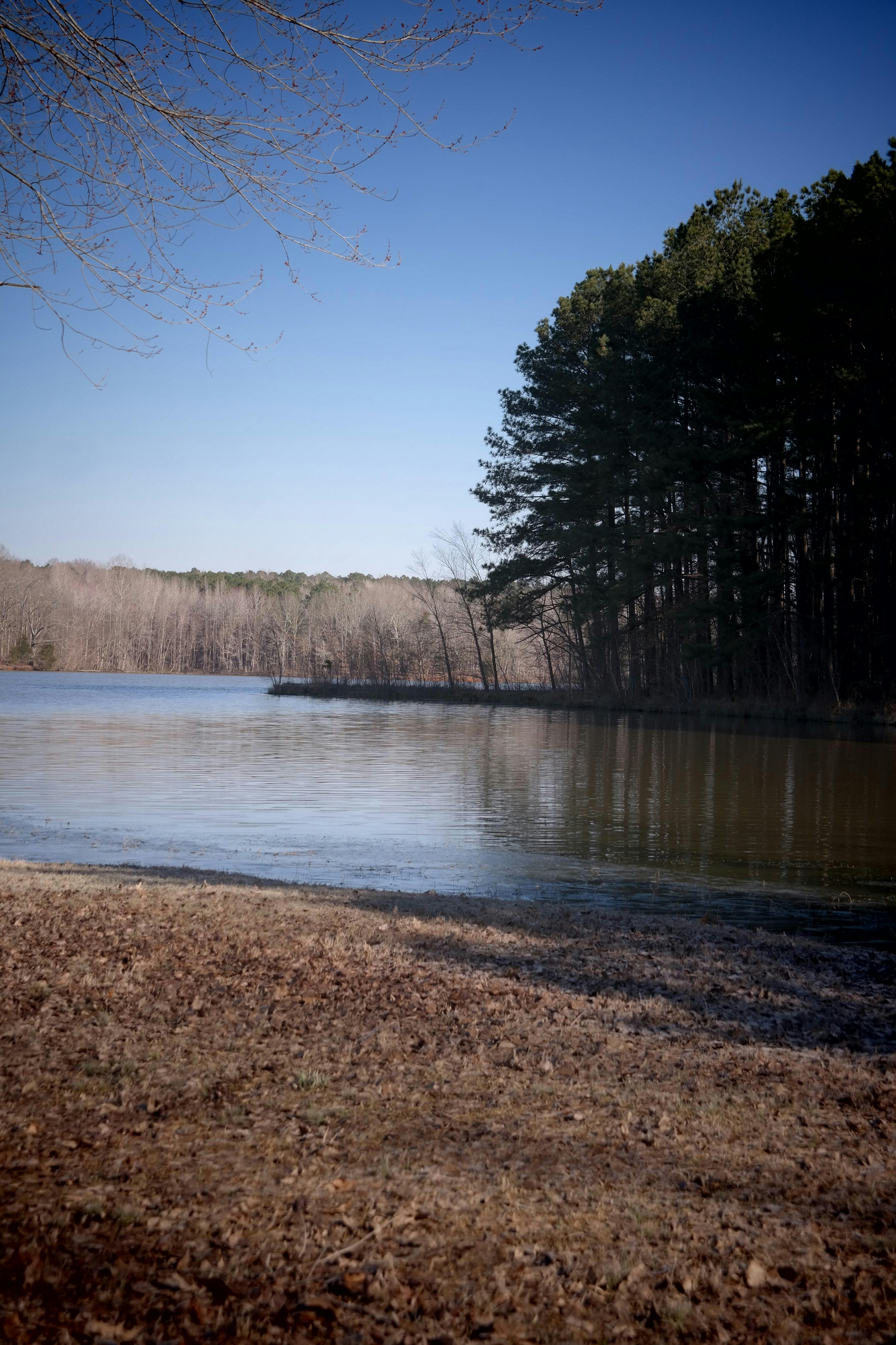 التسوق في مونترو