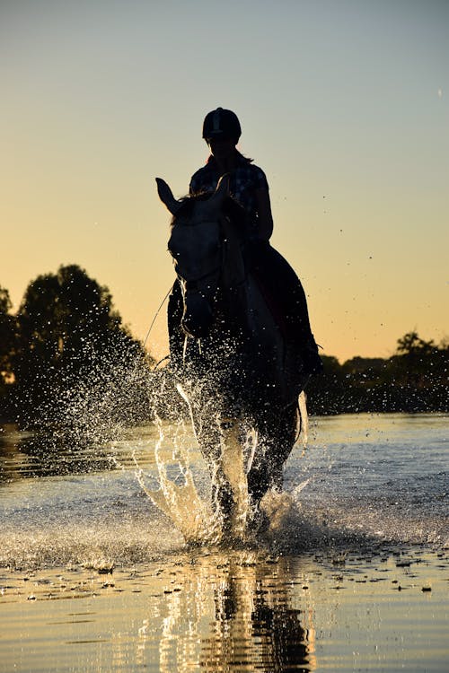 ゴールデンアワーの間に水域を歩く馬に乗る人