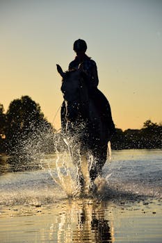 日落时分，一人骑马涉水而过，溅起水花的剪影令人惊叹，充满戏剧感