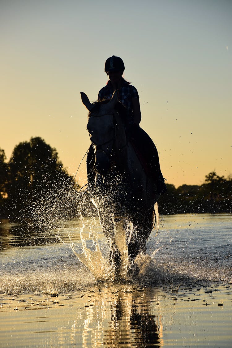 Person Riding Horse Walking On Body Of Water During Golden Hour