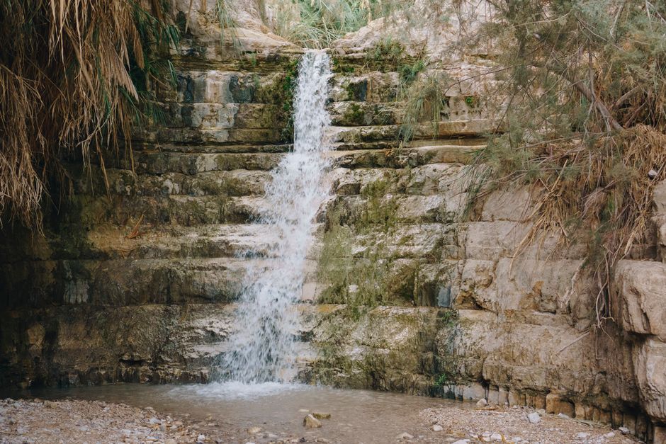 Ein Gedi Waterfall Trail Hike