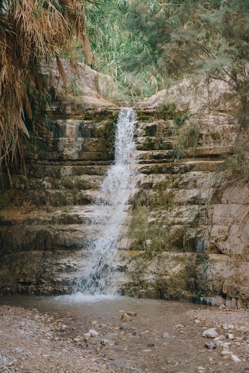 Fotografía De Lapso De Tiempo De Cascada Que Fluye