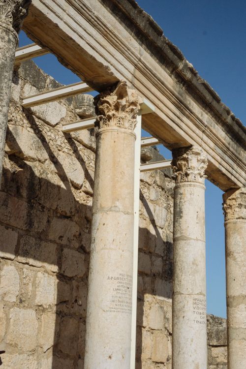 Free Explore the timeless beauty of ancient stone columns at Capernaum synagogue ruins in Israel. Stock Photo