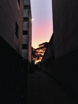 城市小巷里，树木的轮廓映衬着色彩缤纷的日落天空，构成了一幅戏剧性的画面