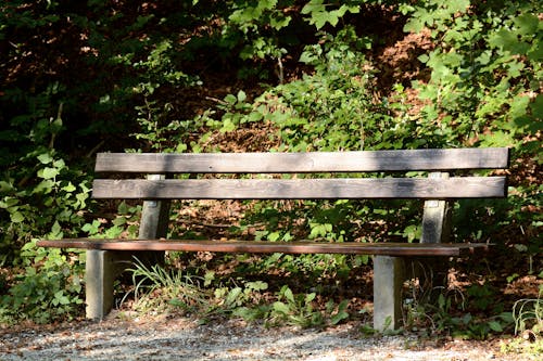 免费 白天的棕色木制户外长凳 素材图片