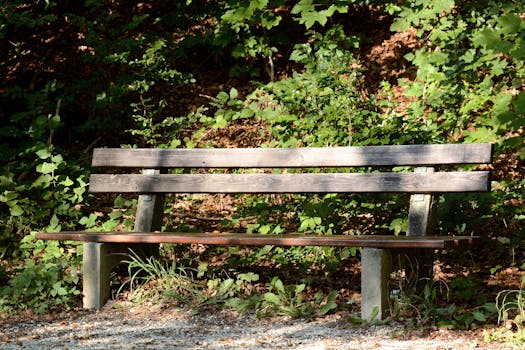 Brown Wooden Outdoor Bench during Day Time