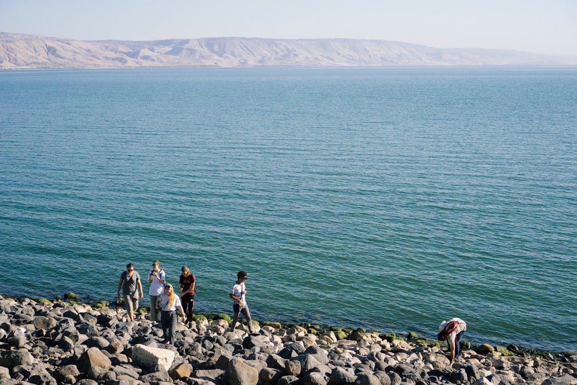 Free People Walking on Seashore Stock Photo