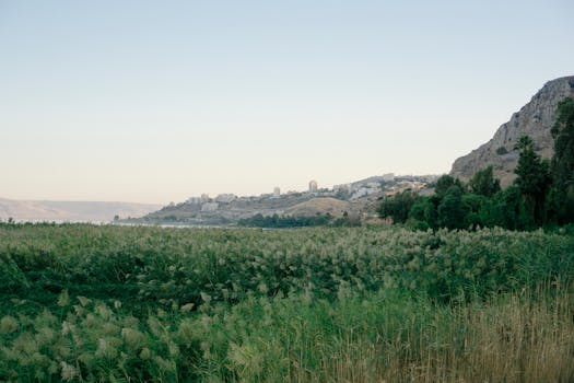 Beautiful landscape view of green grass fields, hills, and distant buildings in Northern Israel.