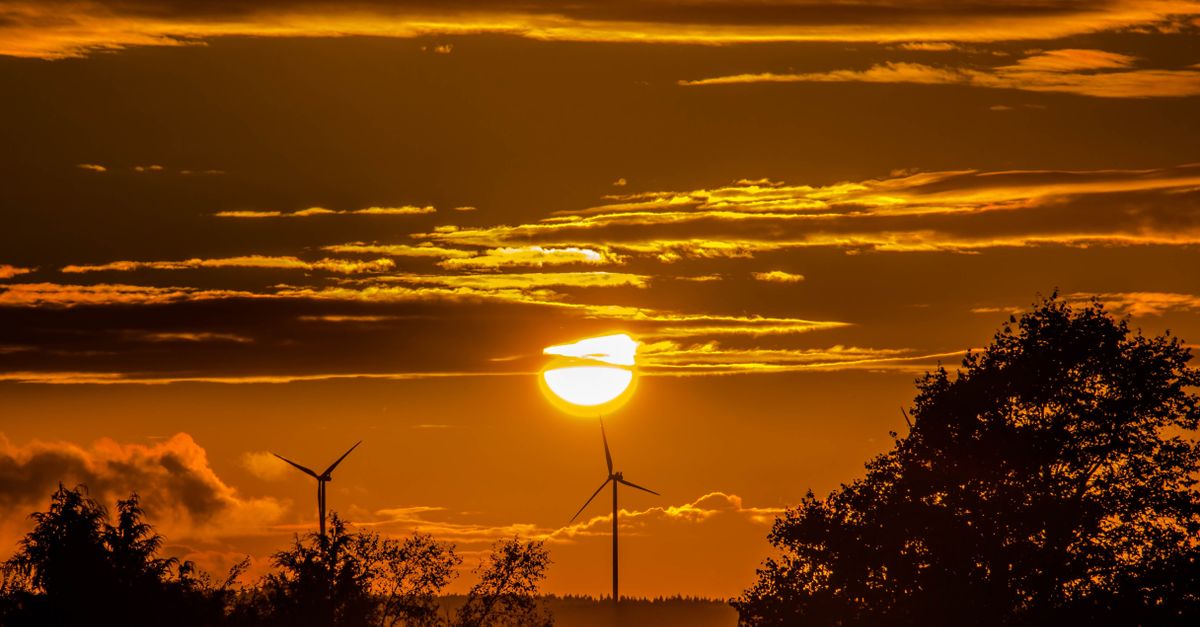 Energy security requires climate resilience in Florida — Photo by Pixabay on Pexels