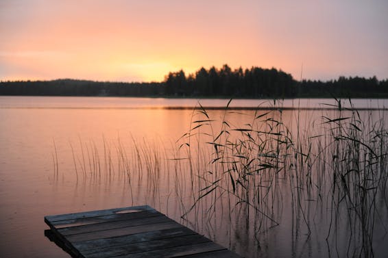 Green Grass Near Body of Water