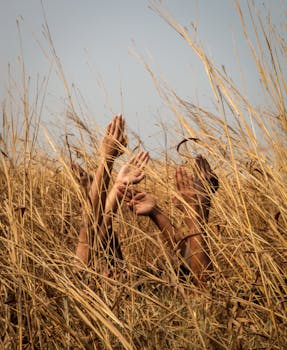 从成熟的麦田中，不同的人伸出双手，象征着团结和联系