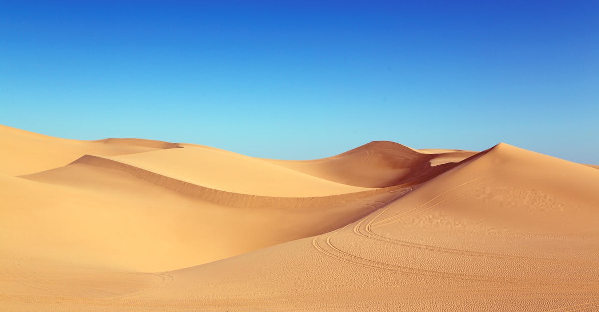 What barren means in English