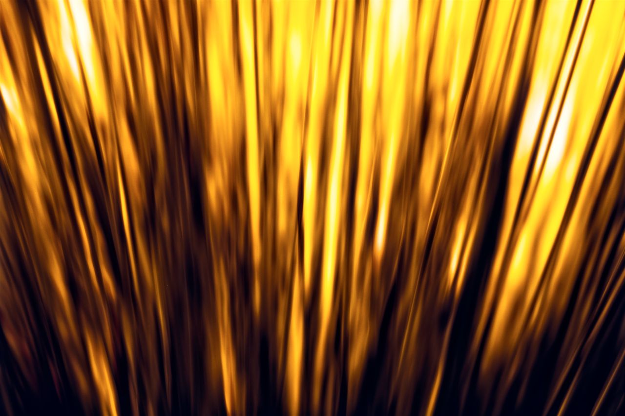 vibrant abstract of glowing golden reeds creating a warm natural patte
