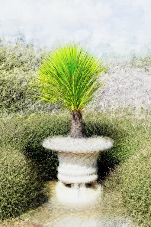 Imagine de stoc gratuită din abstract botanic, abstract verde, abstracția grădinii