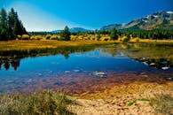 明亮的蓝天下，宁静的山间湖泊倒影清晰，四周环绕着郁郁葱葱的松林