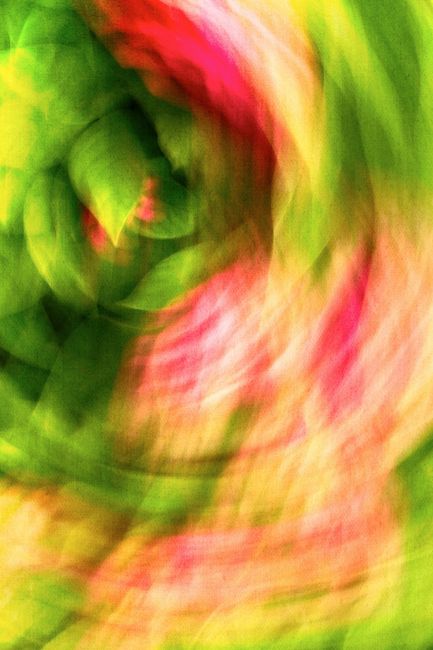 Colorful abstract swirl with dynamic floral patterns and bright hues.