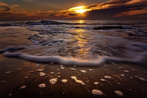 Foto profissional grátis de água, litoral, luz do sol