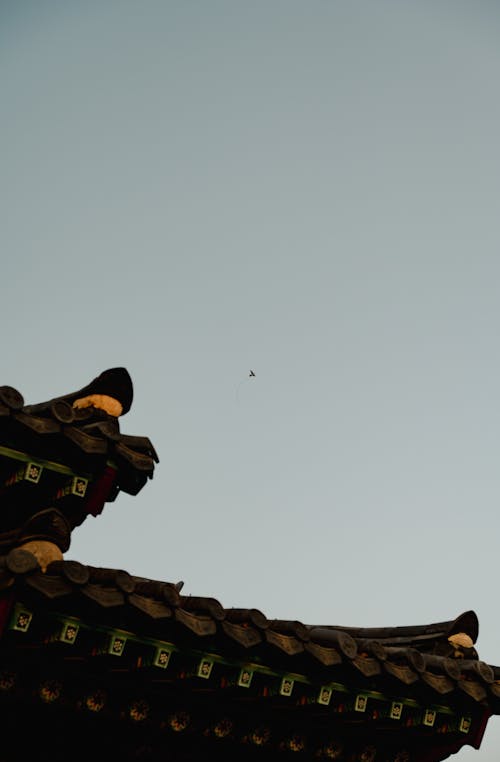 Foto d'estoc gratuïta de blanc i negre, Corea, fotografia