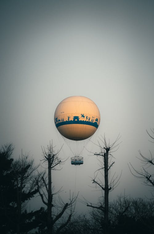 A hot air balloon flying over trees with a city in the background