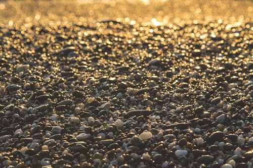 Pebble Stone on Ground