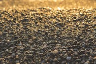 日出时分，海滩上湿石头的特写镜头捕捉到了金色的光芒