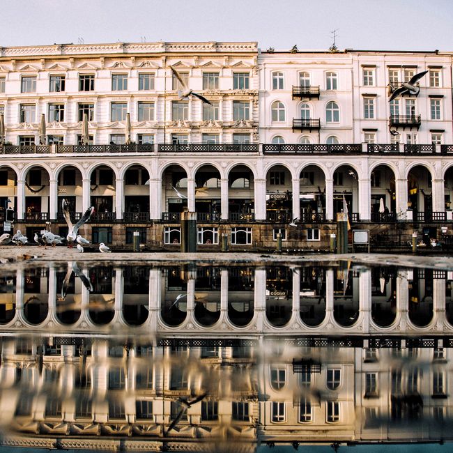 Captivating view of Hamburg's iconic Alster Arcade reflected in serene waters, capturing urban elegance.