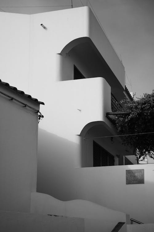 Imagine de stoc gratuită din alb-negru, arbore, arhitectură modernă
