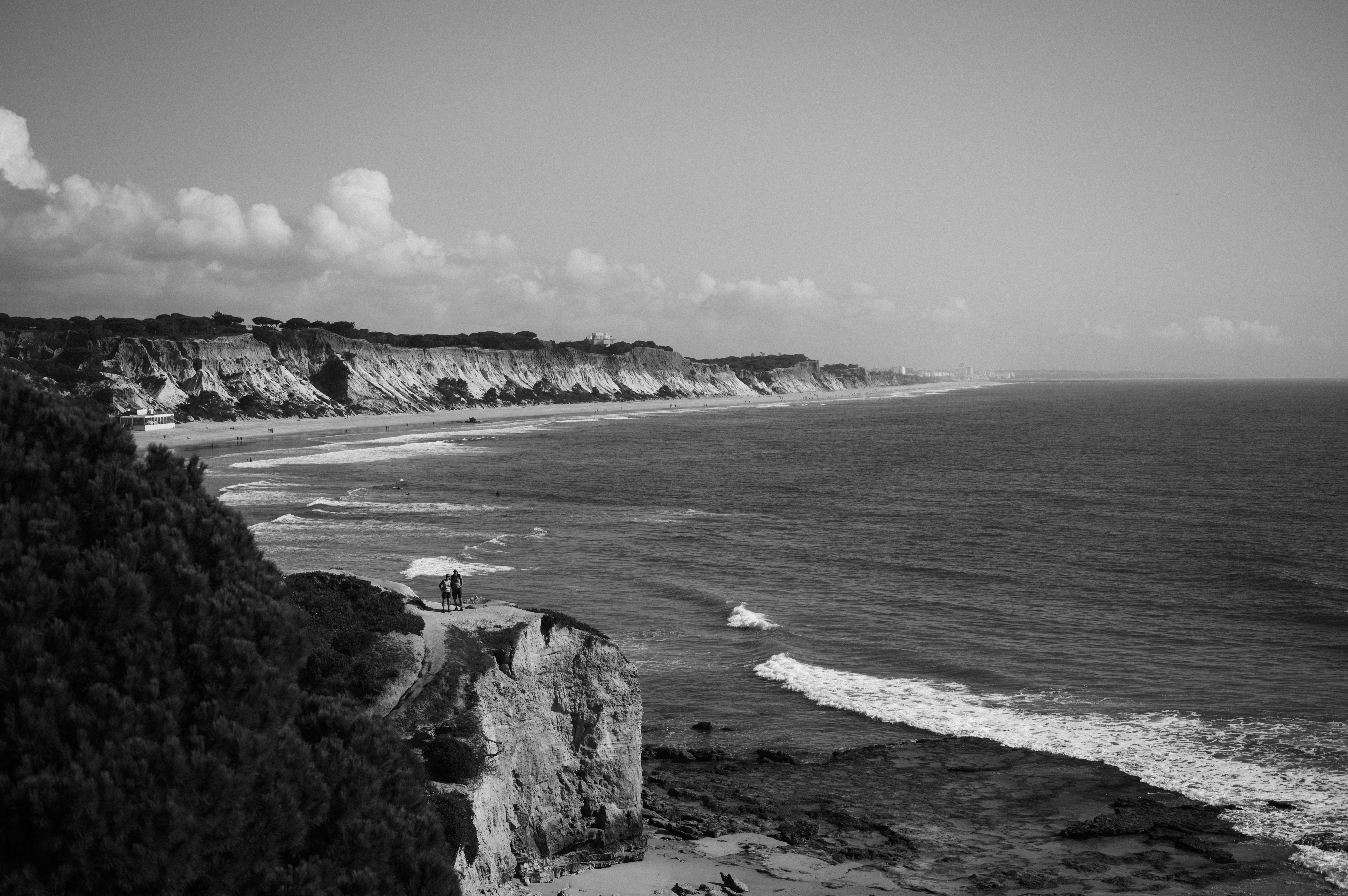 Black and white photo of a beach and ocean · Free Stock Photo