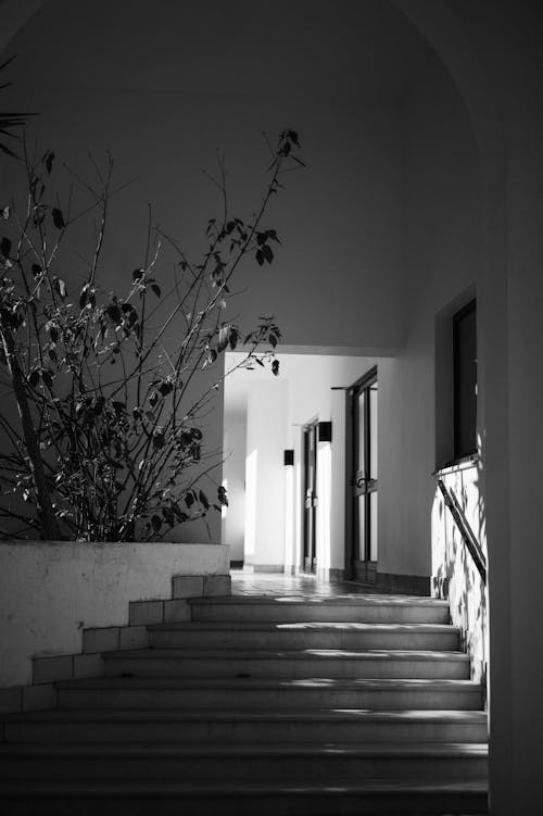 Základová fotografie zdarma na téma architektura, černé a bílé pozadí, černobílý