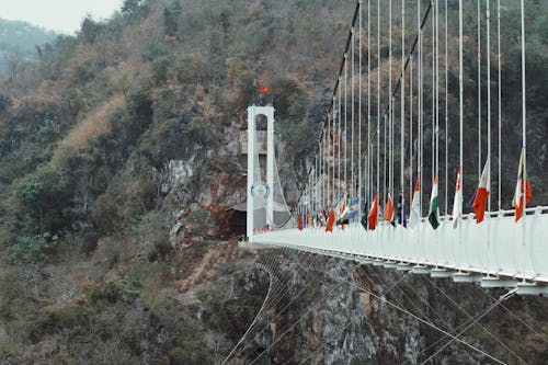 Free A suspension bridge with flags on it Stock Photo