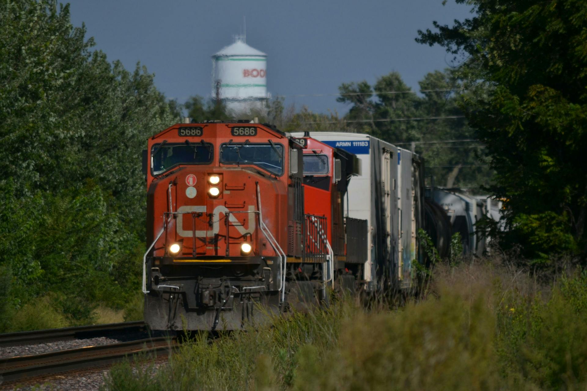 View of the Canadian National Railway Cargo Train