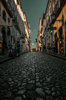 Image by Vitor Gusmão Shimabukuro