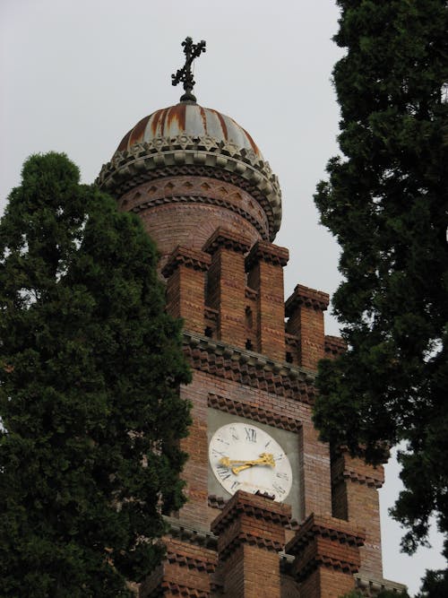 Foto d'estoc gratuïta de arbres, catedral, ciutat