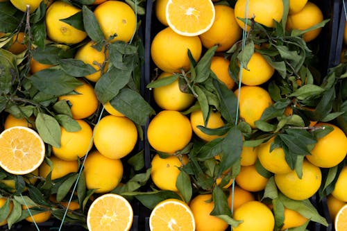 Gratis stockfoto met bladeren, citroenen, citrusvruchten