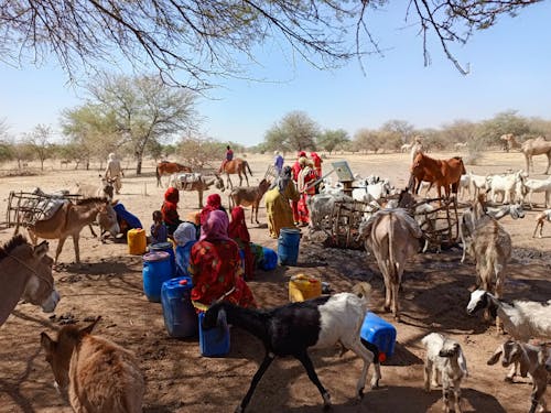 A group of people standing around a water source