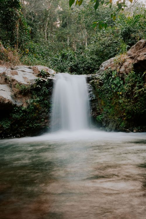 Free Tranquil waterfall flowing amidst dense greenery in a lush forest setting during summer. Stock Photo