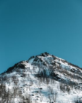 白雪皑皑的巍峨山峰矗立在清澈的蓝天下，尽显冬日之美