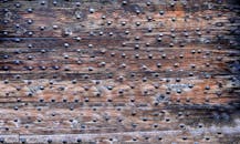 Brown Wooden Board With Black Bead