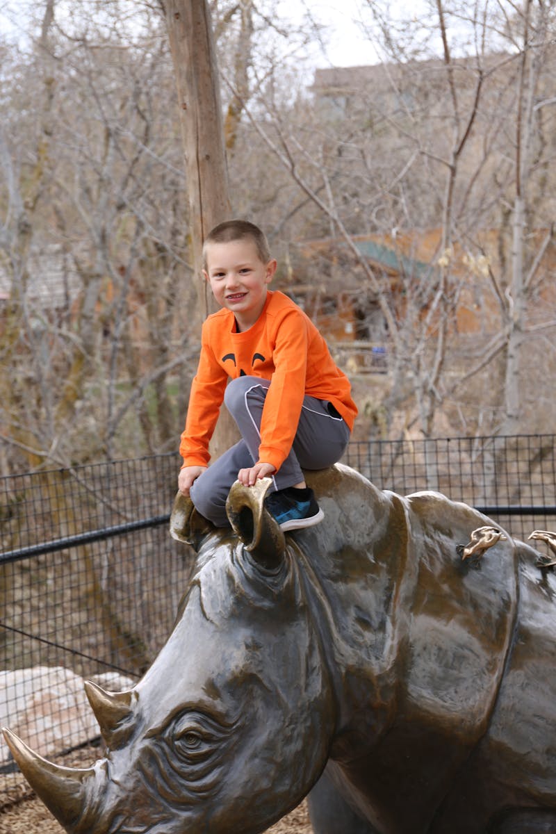 Luxury private jet interior