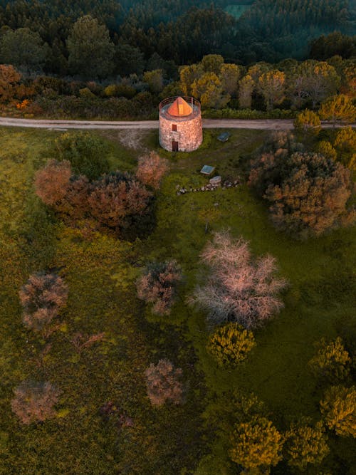 Foto d'estoc gratuïta de arbres, foto des d'un dron, fotografia aèria