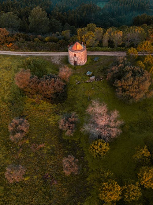 Gratis stockfoto met bomen, dronefoto, luchtfotografie