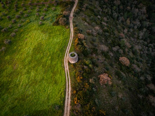 Foto d'estoc gratuïta de camí de carro, foto des d'un dron, fotografia aèria