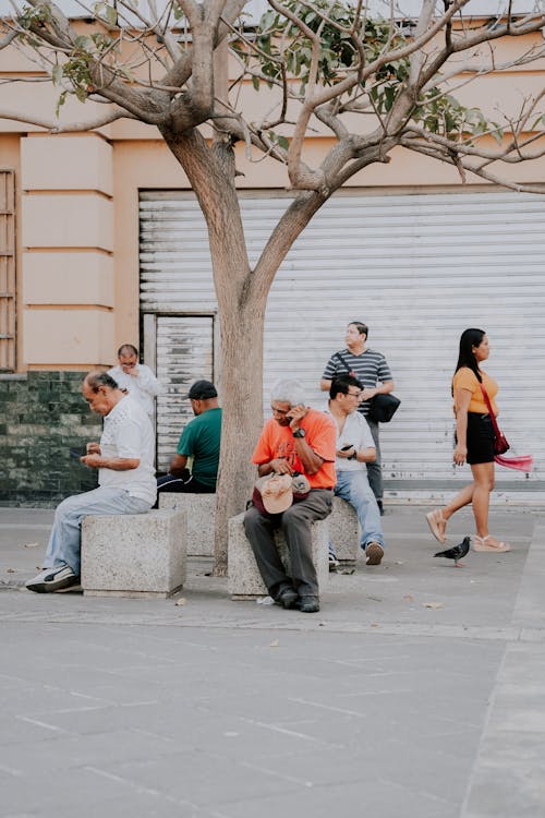 คลังภาพถ่ายฟรี ของ กลางแจ้ง, การเดิน, ถนนในเมือง