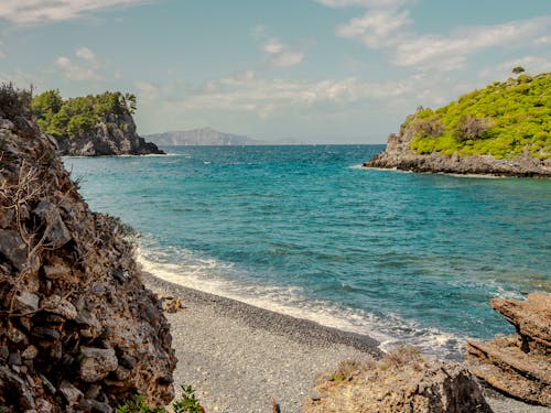 A rocky shoreline with a blue ocean and green trees