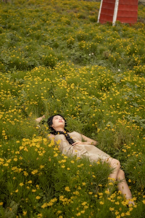 Woman Lying Down on Meadow with Flowers