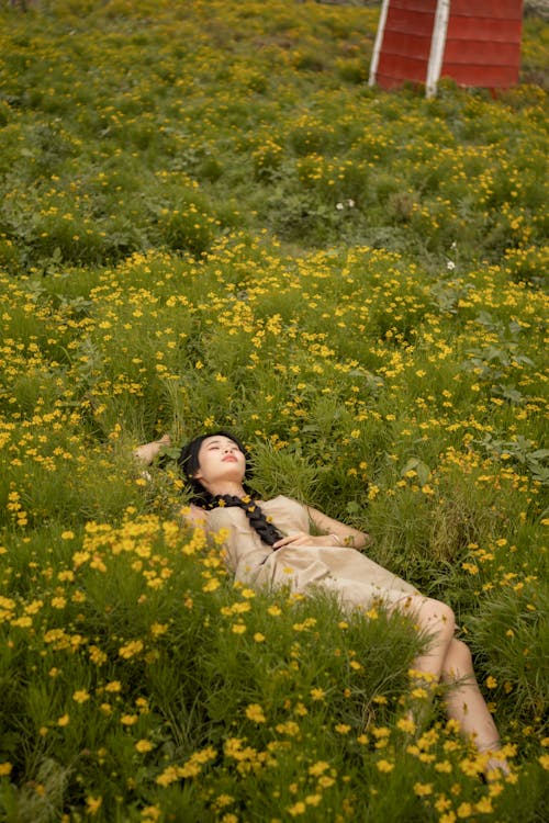 Foto profissional grátis de amarelo, chão, deitando-se