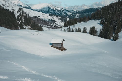 Cabane Dans La Neige