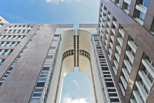 무료 흰색과 갈색 고층 빌딩 스톡 사진