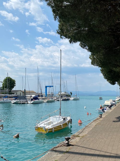 A boat is docked in the water near a marina