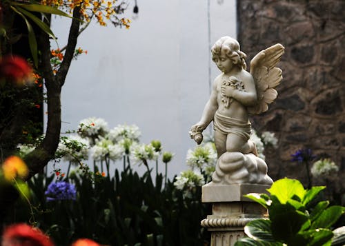 天使の翼, 天使は花を呼吸します, 庭園の無料の写真素材